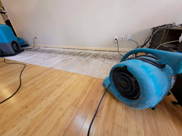 Professional Emergency Water Damage technician working in Enterprise, WV